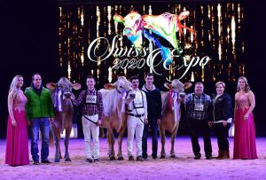 Champion intermediare